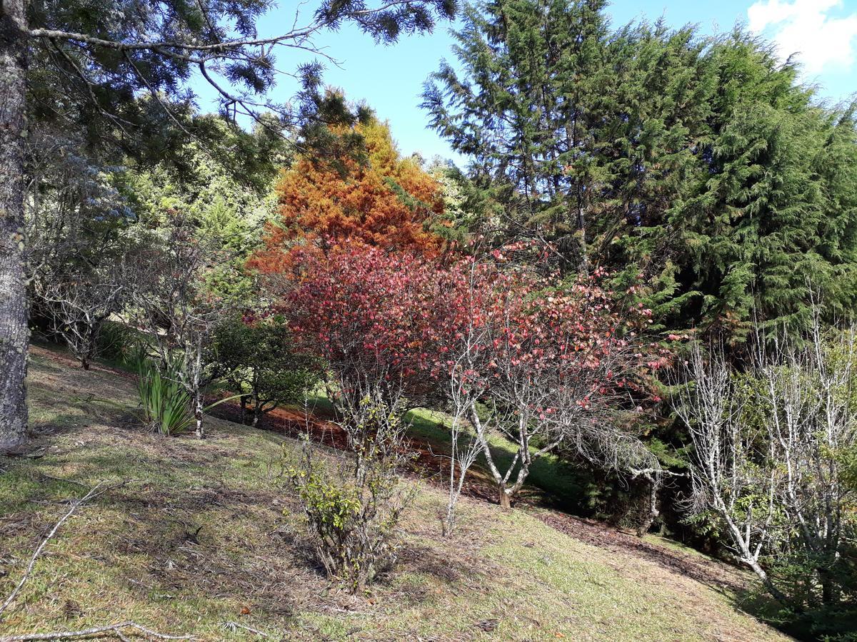 Morada Valbelle Daire Monte Verde  Dış mekan fotoğraf
