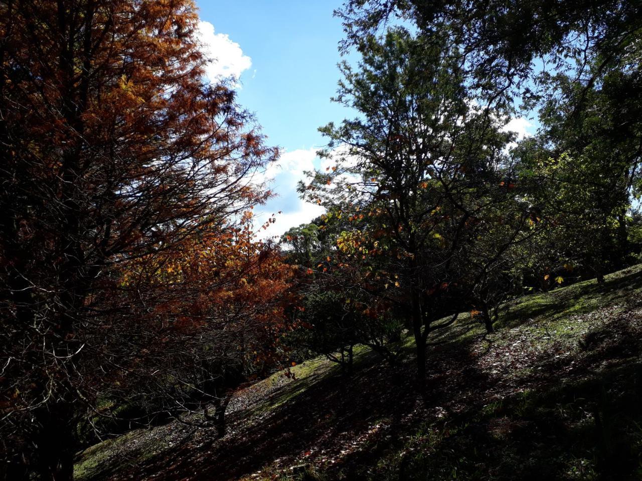 Morada Valbelle Daire Monte Verde  Dış mekan fotoğraf
